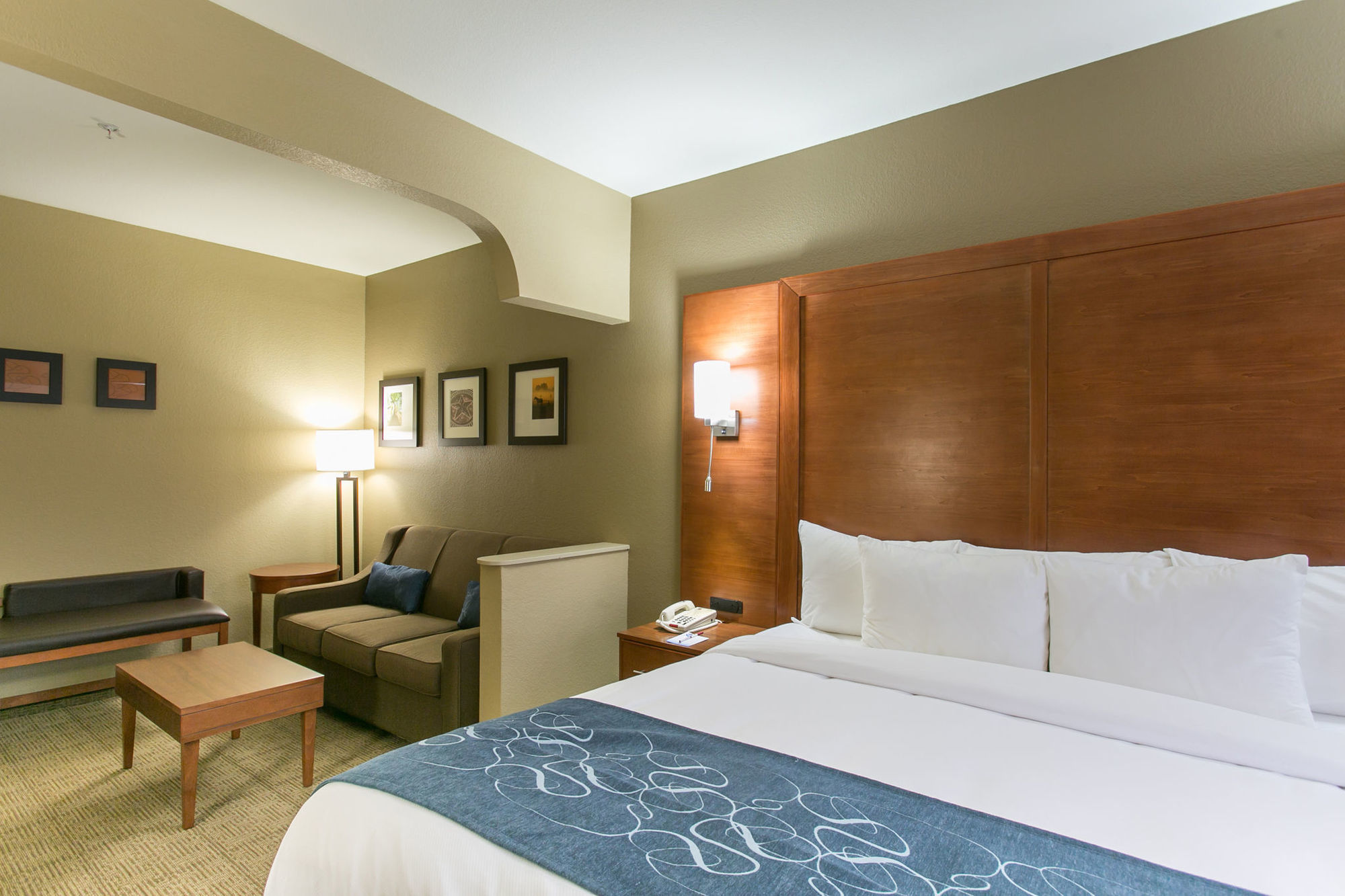 Comfort Suites Austin Nw Lakeline Phòng bức ảnh